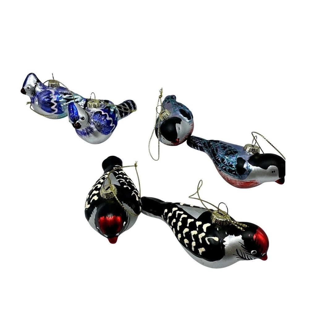 Ellen DeGeneres Bird Ornaments Glass Holiday Decoration‎ Vintage Style Set of 6